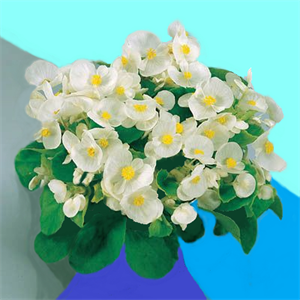 ПР 408.png